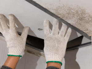 Roof Leak Repair