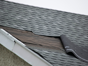 Roofing Services