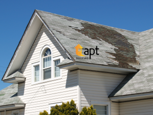 Home Roofing