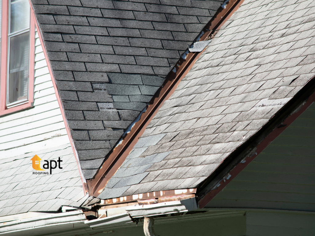 Roofer inspecting tiled roof for leaks in Gladesville